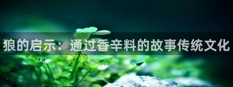 羞羞漫画s韩漫：狼的启示：通过香辛料的故事传统文化