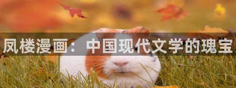 羞羞漫画教练