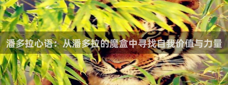 羞羞漫画免费视频网站：潘多拉心语：从潘多拉的魔盒中寻找自我价值与力量
