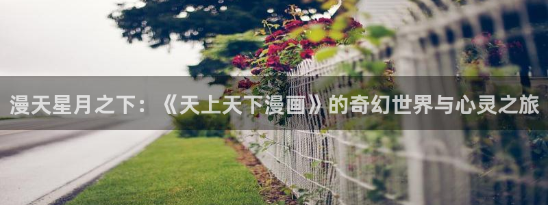 女神猎物羞羞漫画：漫天星月之下：《天上天下漫画》的奇幻世界与心灵之旅
