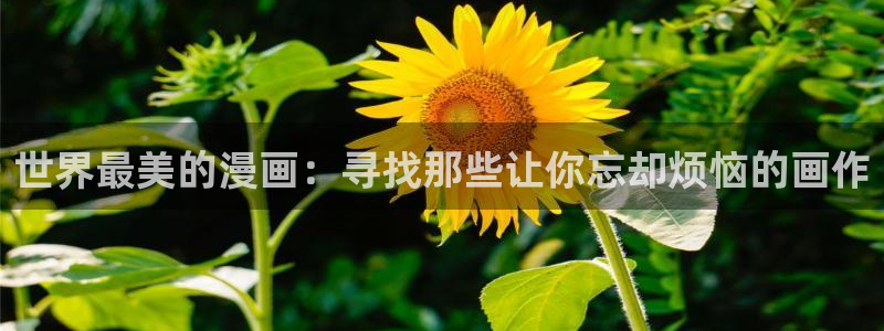 韩国无遮掩羞羞漫画：世界最美的漫画：寻找那些让你忘却烦恼的画作