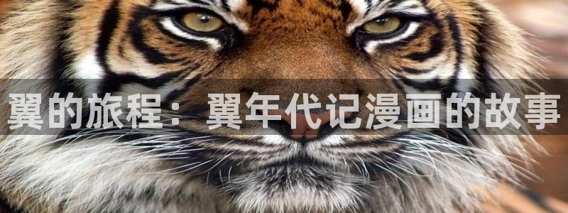 羞羞漫画在线观看国漫韩漫日漫：翼的旅程：翼年代记漫画的故事