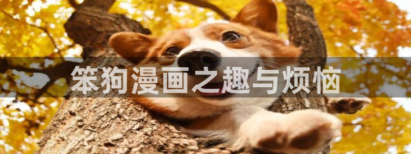 羞羞漫画成人18禁：笨狗漫画之趣与烦恼