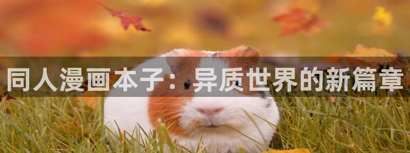 **羞羞漫画网站入口