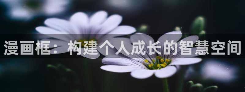 羞羞漫画s：漫画框：构建个人成长的智慧空间