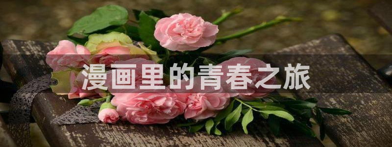 www.羞羞漫画网站：漫画里的青春之旅