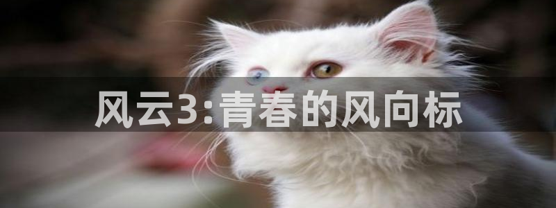 羞羞漫画免费在线入口：风云3:青春的风向标