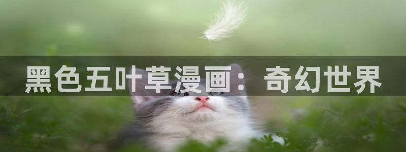 羞羞漫画交换游戏免费：黑色五叶草漫画：奇幻世界