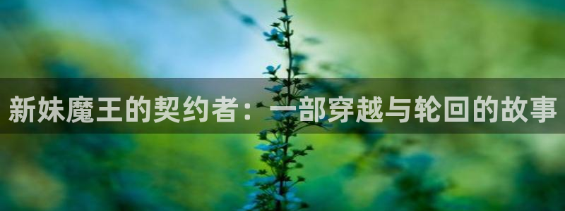 韩国美女羞羞漫画：新妹魔王的契约者：一部穿越与轮回的故事