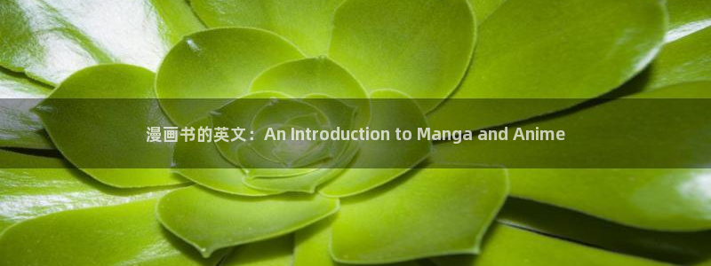 羞羞漫画秋蝉sss：漫画书的英文：An Introduction to Manga and Anime