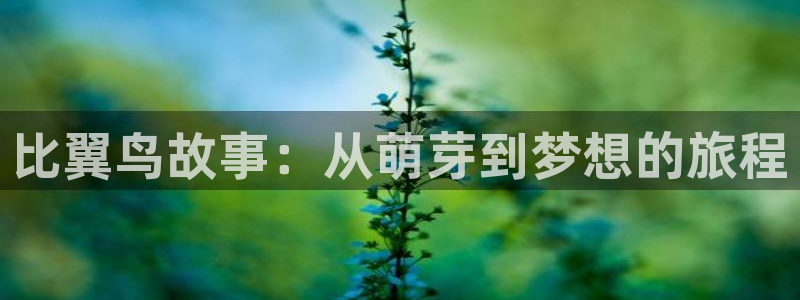 羞羞漫画动态：比翼鸟故事：从萌芽到梦想的旅程